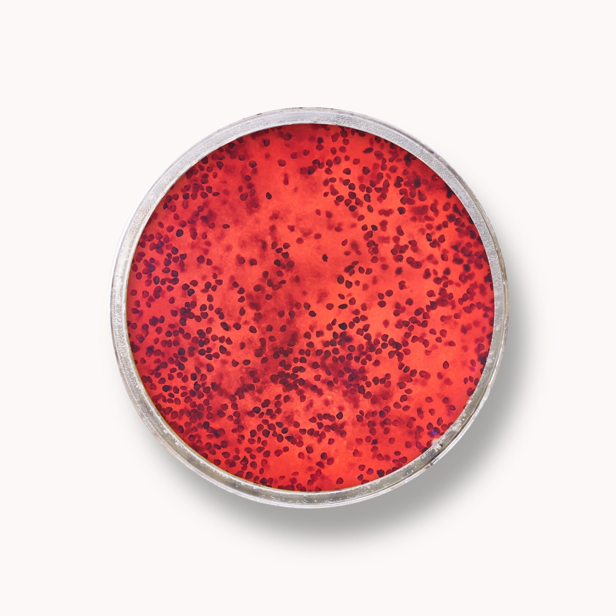 Exfoliante de gelatina de azúcar - Fresa