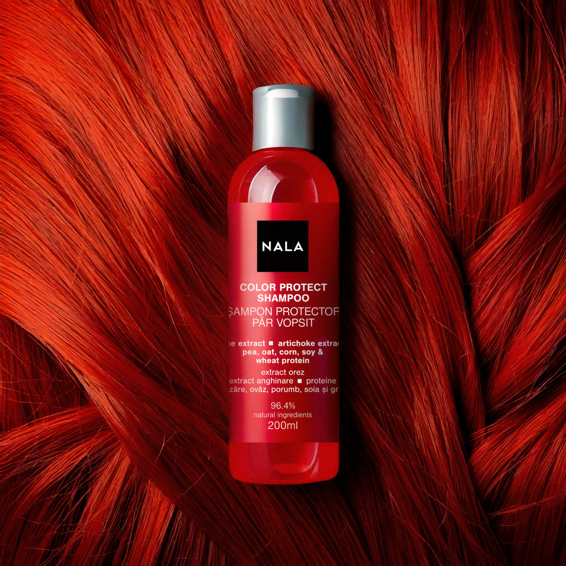 Champú protector para Cabello Teñido - Extracto de Arroz, Alcachofa, Proteínas de Guisante, Avena, Maíz, Soja y Trigo